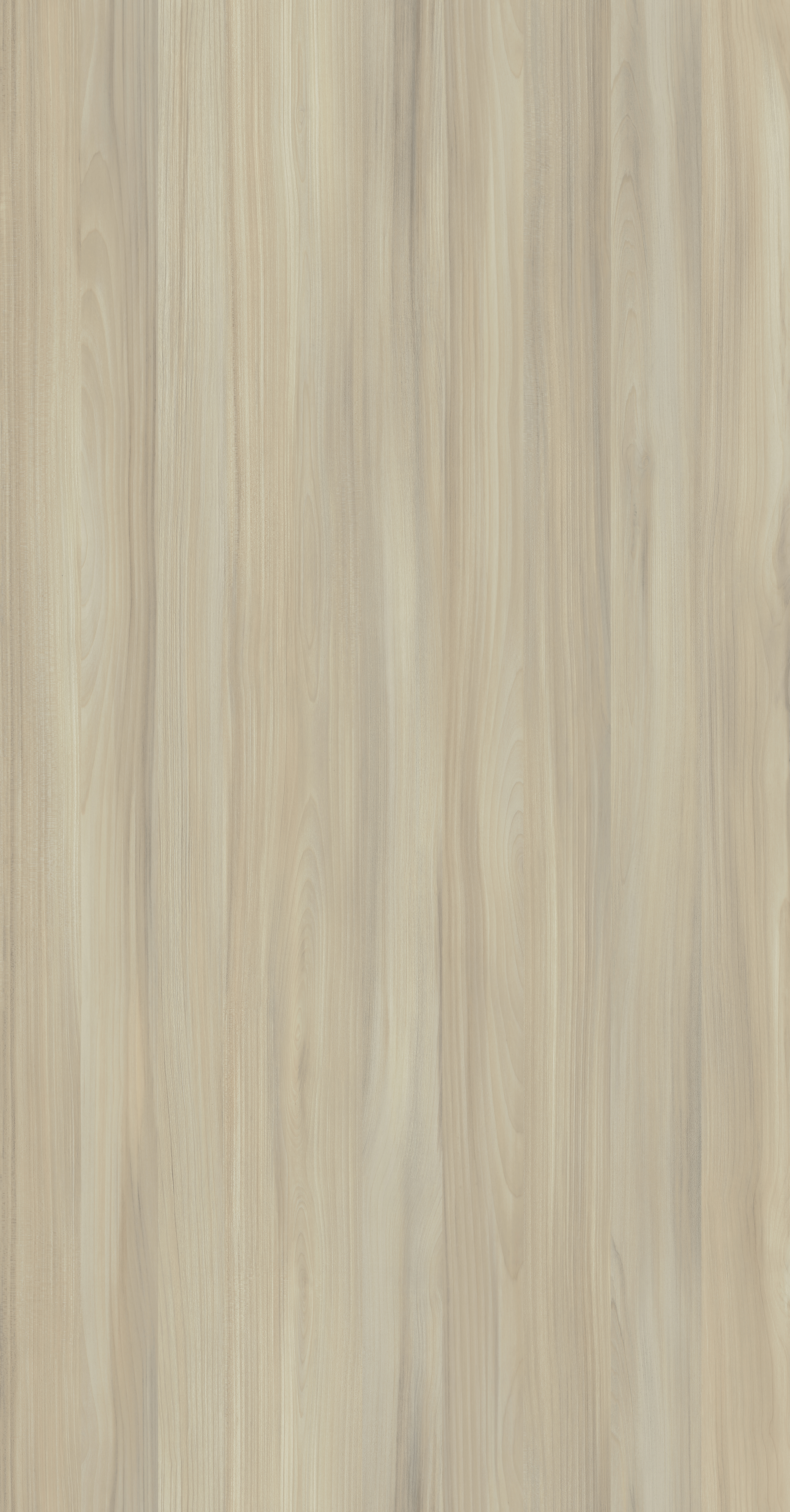 Taiga